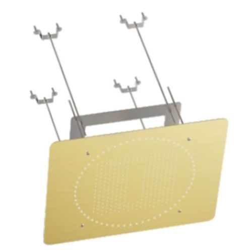 Верхний душ Raglo R452.03.03 золотой сатин - фото 2