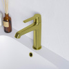 Смеситель RGW Shower Panels (Шоувер панелс) 511405301-06 на раковину золото