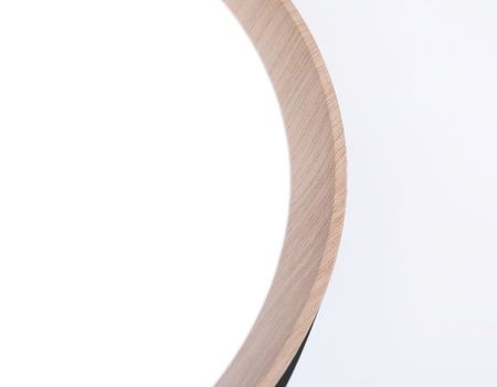 Светильник потолочный Ambrella Light Design (Десигн) FZ1326