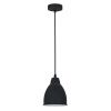 Светильник подвесной Arte Lamp Braccio (Браццио) A2054SP-1BK