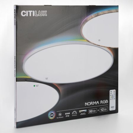 Светильник потолочный Citilux Norma (Норма) CL749601