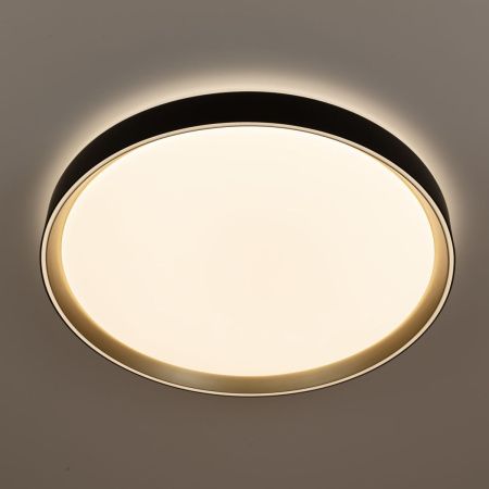 Светильник потолочный музыкальный Citilux Boss (Босс) CL751451G