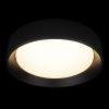 Светильник потолочный Loft It Coin 10202 BB