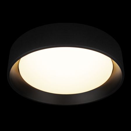 Светильник потолочный Loft It Coin 10202 BB
