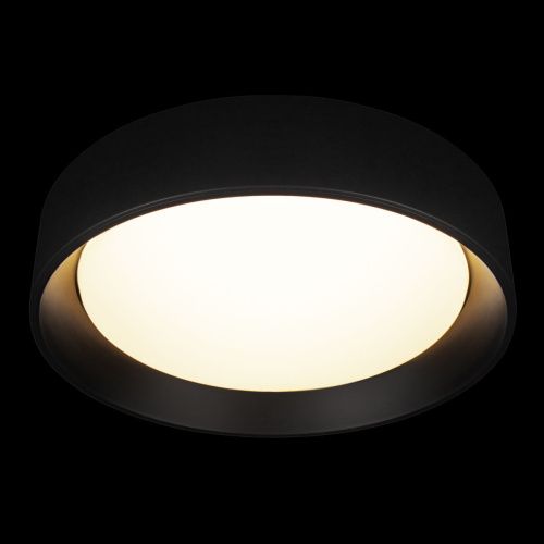 Светильник потолочный Loft It Coin 10202 BB - фото 2