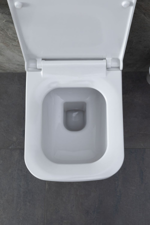 Чаша унитаза подвесная Allen Brau Infinity 4.21011.20 цвет белый без сиденья безободковая каскадный смыв