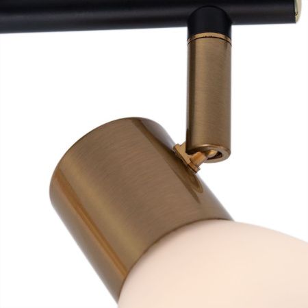 Спот Arte Lamp Falena (Фалена) A3117PL-2BK