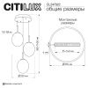 Светильник подвесной Citilux Signature (Сигнатуре) CL247022