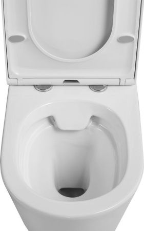 Чаша унитаза напольная Arrow AB2231H цвет белый без бачка с сиденьем микролифт безободковая каскадный смыв