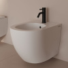 Смеситель Allen Brau Priority 5.31A04-31 на биде черный без термостата Смеситель Allen Brau Priority 5.31A04-31 на биде черный без термостата