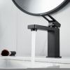 Смеситель Raffine F0196H на раковину черный