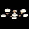 Люстра на штанге Evoluce Faema (Фаема) SLE6006-502-06