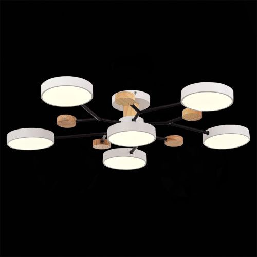 Люстра на штанге Evoluce Faema (Фаема) SLE6006-502-06 - фото 4