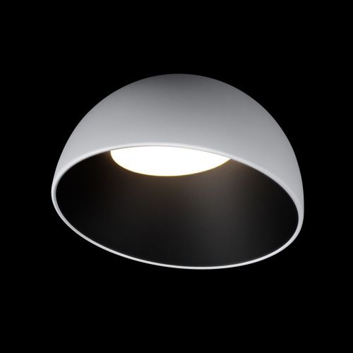 Светильник потолочный Loft It Egg 10197/350 WB - фото 2