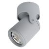 Спот Arte Lamp Libra (Либра) A3316PL-1GY