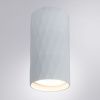 Светильник накладной Arte Lamp Fang (Фанг) A5557PL-1WH