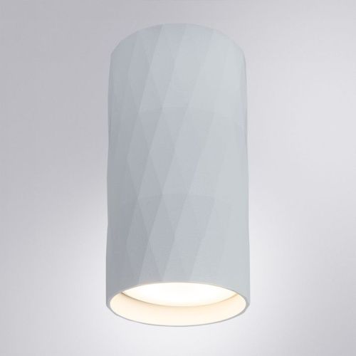 Светильник накладной Arte Lamp Fang (Фанг) A5557PL-1WH - фото 2