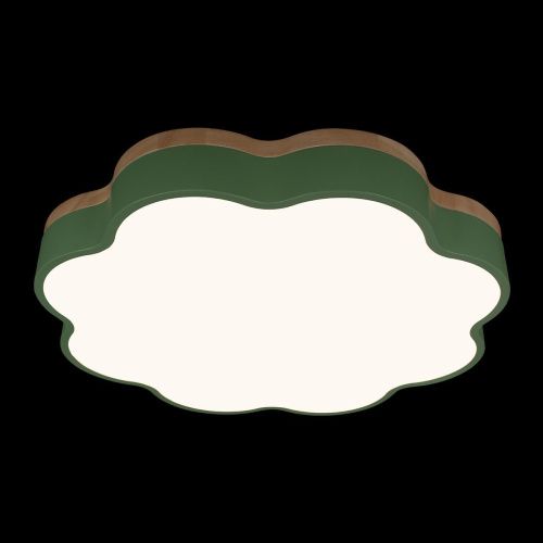 Светильник потолочный Loft It Axel 10225/36 Green - фото 2