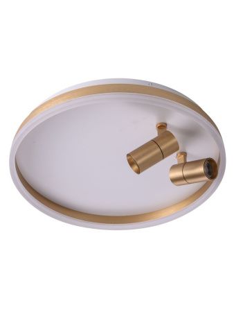Светильник потолочный Zortes Raizy (Раизы) ZRS.1888.02