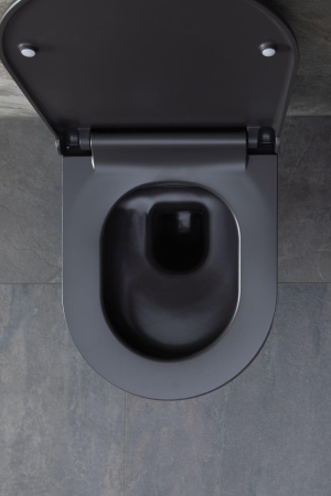 Чаша унитаза подвесная Allen Brau Priority 4.31001.AN цвет черный без сиденья безободковая каскадный смыв