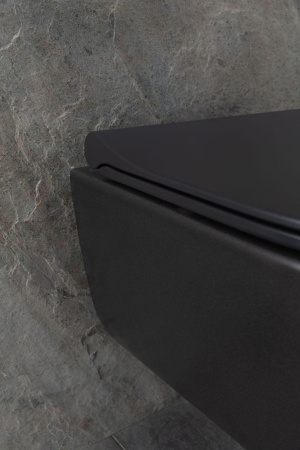 Чаша унитаза подвесная Allen Brau Priority 4.31002.31 цвет черный матовый без сиденья безободковая каскадный смыв