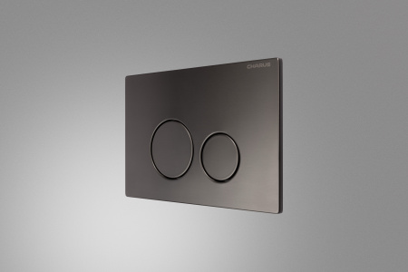 Клавиша смыва механическая CHARUS Robusto FP.330.GNM.05