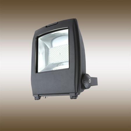 Прожектор светодиодный Globo Projecteur I (Проджецтеур И) 34221