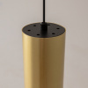 Светильник подвесной Maytoni Vol (Вол) P100PL-20W3K-BS
