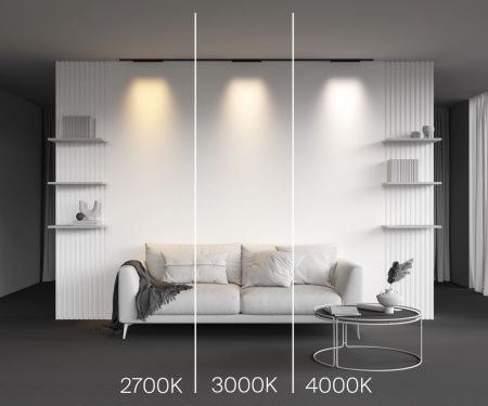 Трековый светодиодный светильник Maytoni Technical Basis (Базис) TR192-1-8W2.7K-B
