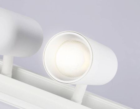 Трековый магнитный светильник Ambrella Light Track System (Трацк Сыстем) GL3901