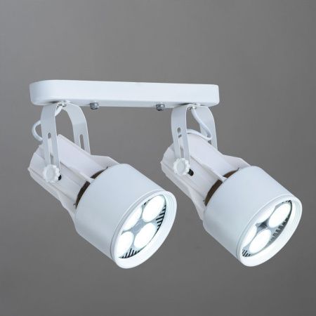 Спот Arte Lamp Lyra (Лыра) A6252PL-2WH