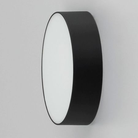 Светильник накладной Citilux Тао CL712122N