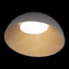 Светильник потолочный Loft It Egg 10197/500 Grey
