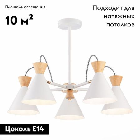 Люстра потолочная Evoluce Modica (Модица) SLE125102-05