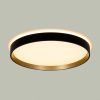 Светильник потолочный музыкальный Citilux Etalon (Еталон) CL750321R