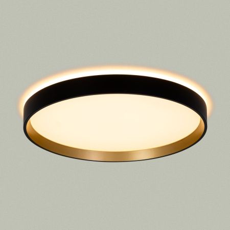 Светильник потолочный музыкальный Citilux Etalon (Еталон) CL750321R