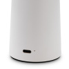 Настольная лампа Freya Mushroom (Гриб) FR6109TL-L4W