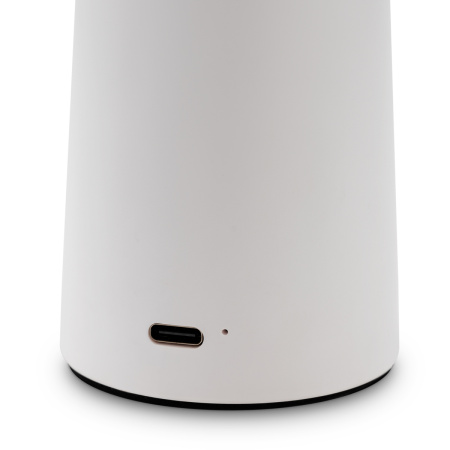 Настольная лампа Freya Mushroom (Гриб) FR6109TL-L4W