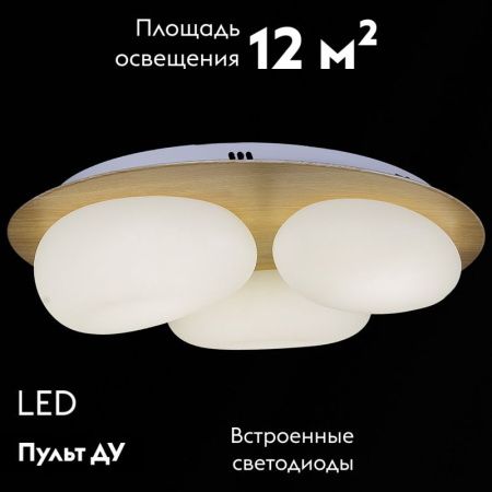 Люстра потолочная Reluce 10009-0.3-60W AEROLITE