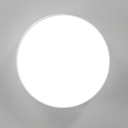 Светильник накладной Citilux Тао CL712120N