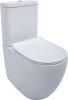 Чаша унитаза напольная Aquanet Cetus CETUS-C1 цвет белый без бачка с сиденьем микролифт безободковая каскадный смыв