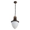 Уличный подвесной светильник Arte Lamp Vienna (Виенна) A1317SO-1BN
