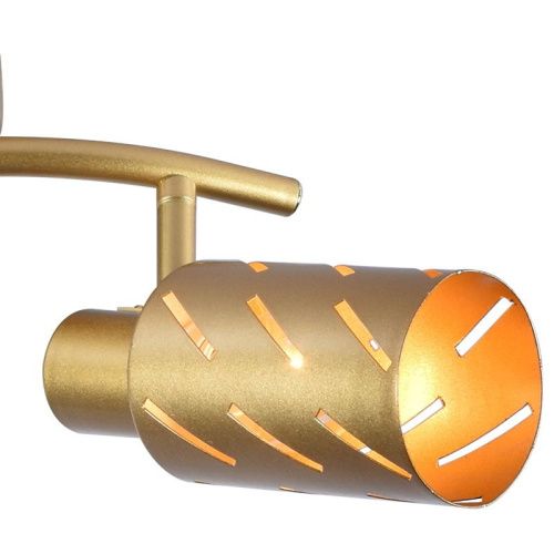 Спот Reluce 05970-0.8-02 GOLD - фото 3