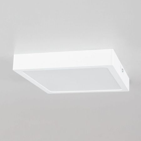 Светильник накладной Citilux Галс CL55K22N