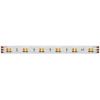 Светодиодная лента Maytoni Led Strip 201123