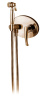 Гигиенический душ со смесителем AltroBagno Beatrice AltroBagnoBeatrice060114ROr розовое золото