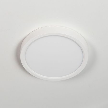 Светильник накладной Citilux Бейсик CL738120N