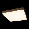 Светильник потолочный Loft It Flims 10228/D
