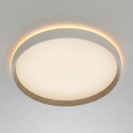 Светильник накладной Citilux Etalon (Еталон) CL750320R