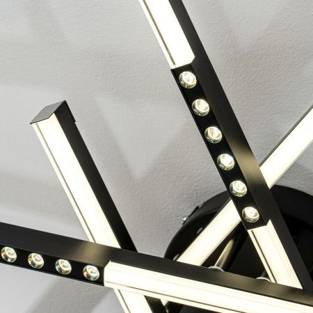 Светильник потолочный LED4U L5116-6 BK